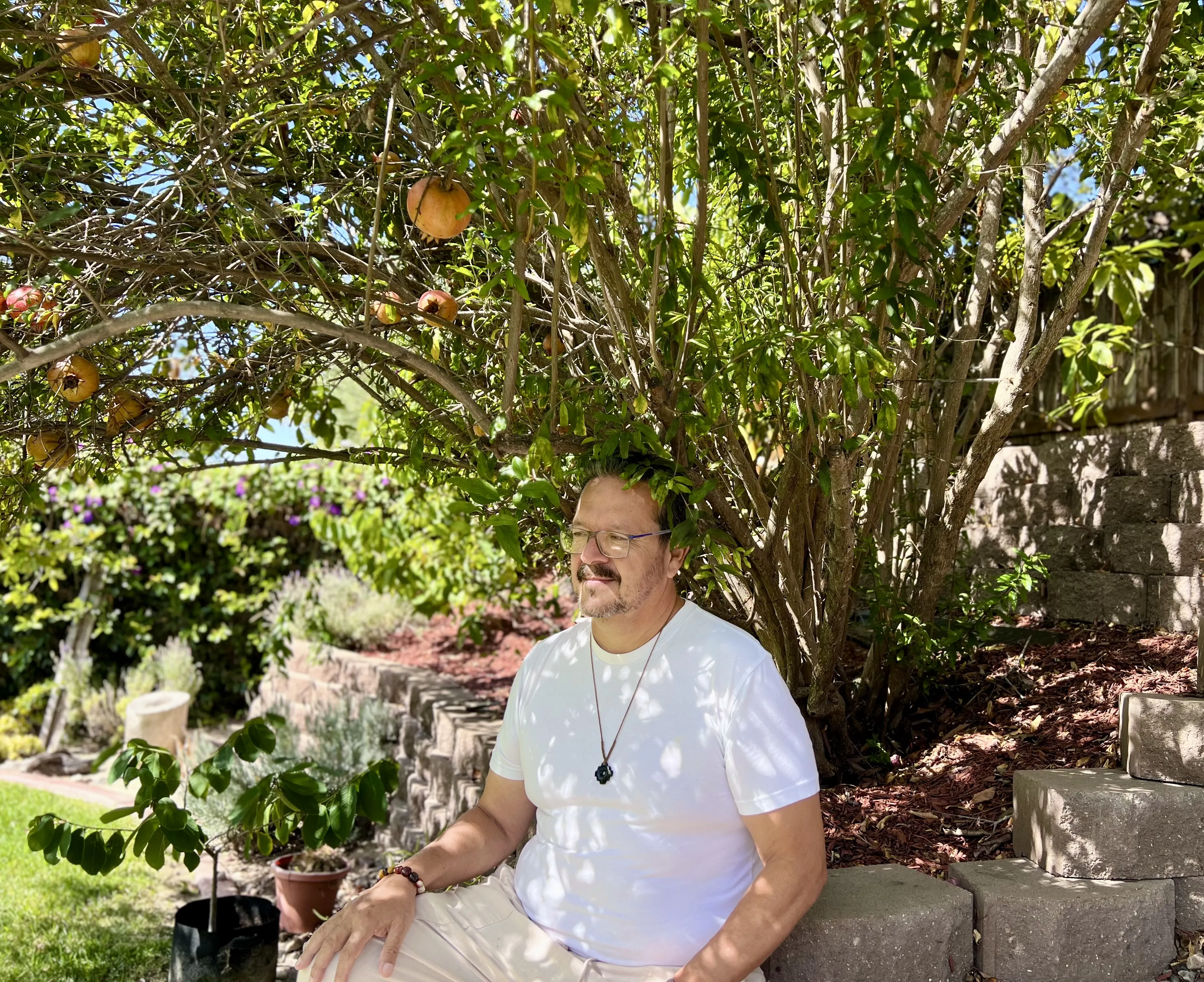 Nestor Romero, Founder